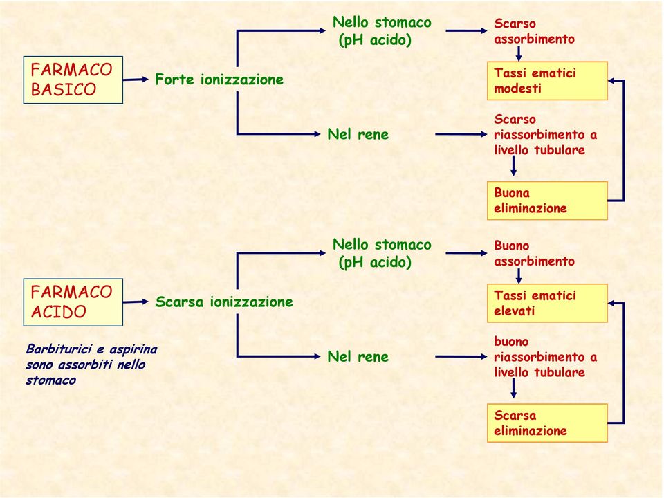acido) Buono assorbimento FARMACO ACIDO Scarsa ionizzazione Tassi ematici elevati Barbiturici e