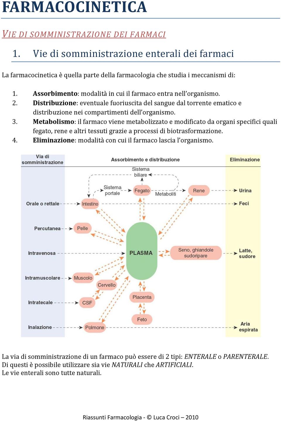 Metabolismo: il farmaco viene metabolizzato e modificato da organi specifici quali fegato, rene e altri tessuti grazie a processi di biotrasformazione. 4.