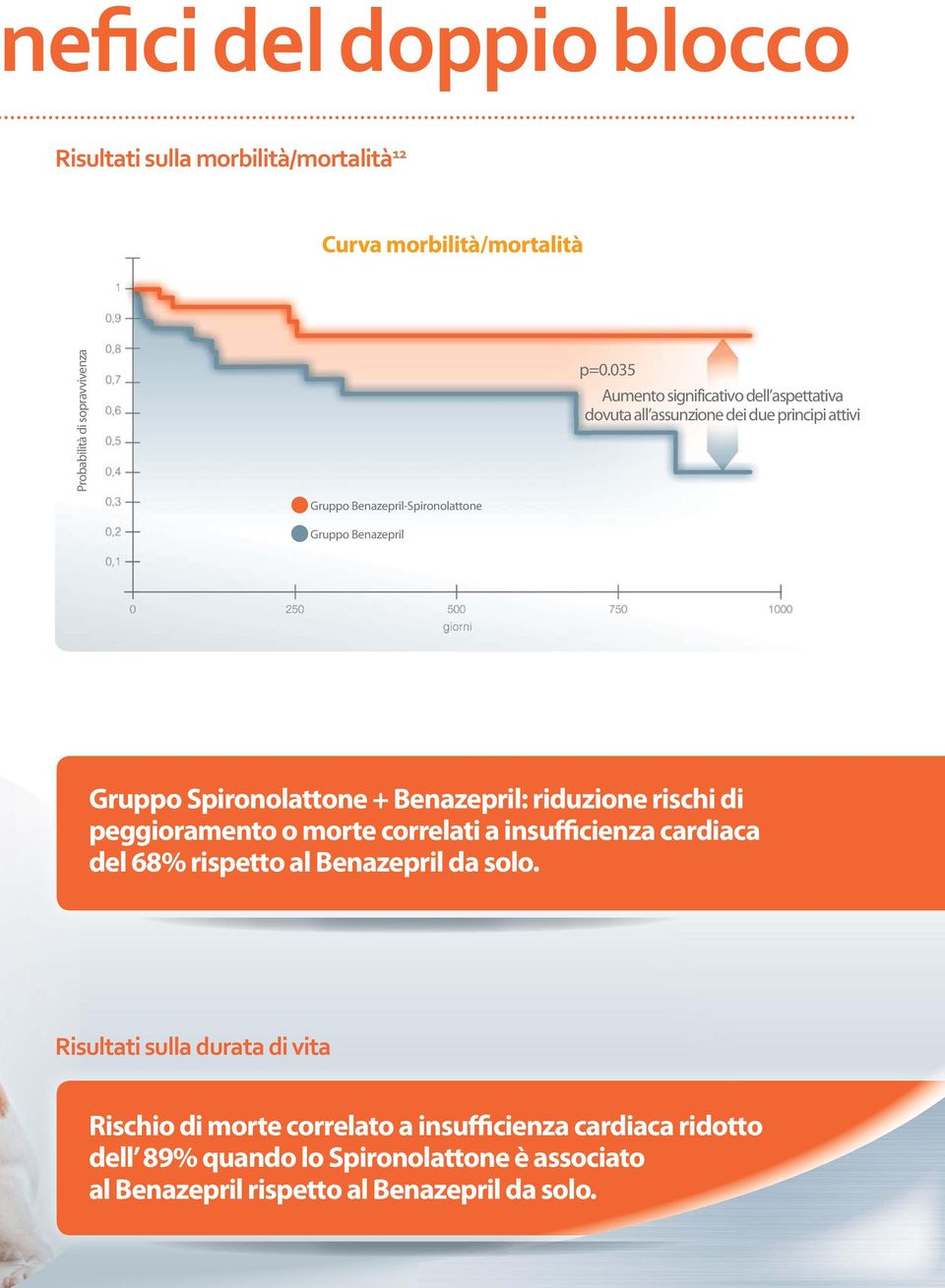 035 Aumento significativo dell aspettativa dovuta all assunzione dei due principi attivi Gruppo Spironolattone + Benazepril: riduzione rischi