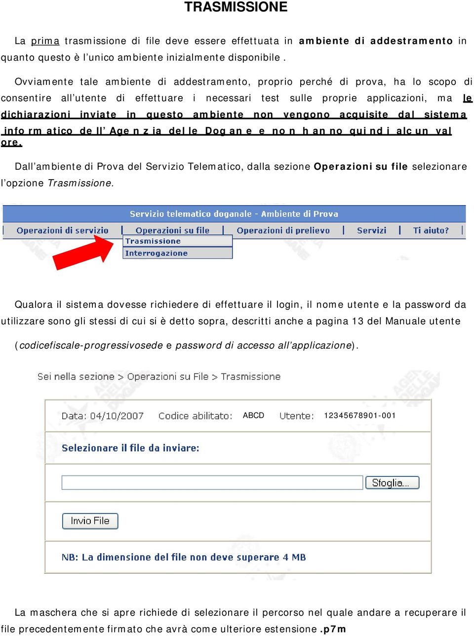 questo ambiente non vengono acquisite dal sistema info rm atico de ll Age n z ia del le Dog an e e no n h an no qui nd i alc un val ore.