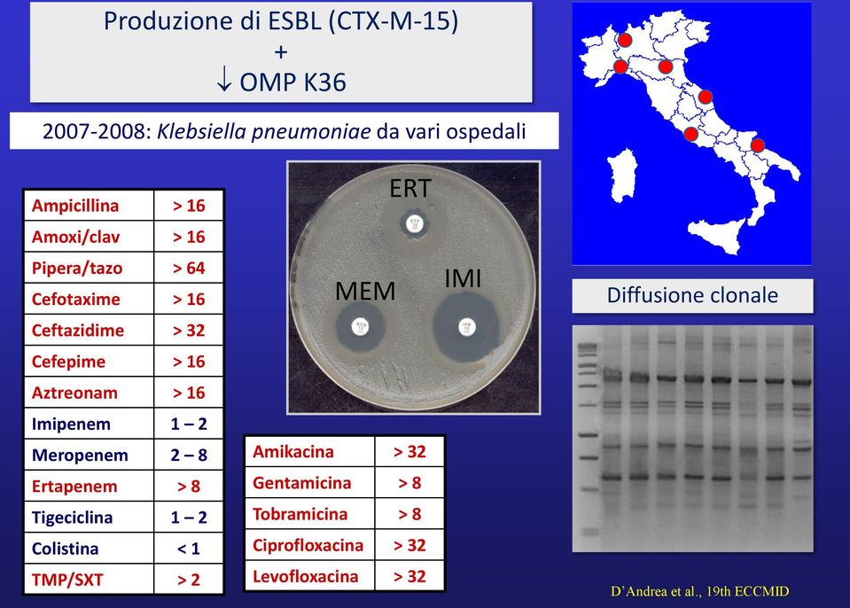 16 Aztreonam > 16 Imipenem 1 2 Meropenem 2 8 Amikacina > 32 Ertapenem > 8 Gentamicina > 8 Tigeciclina 1 2