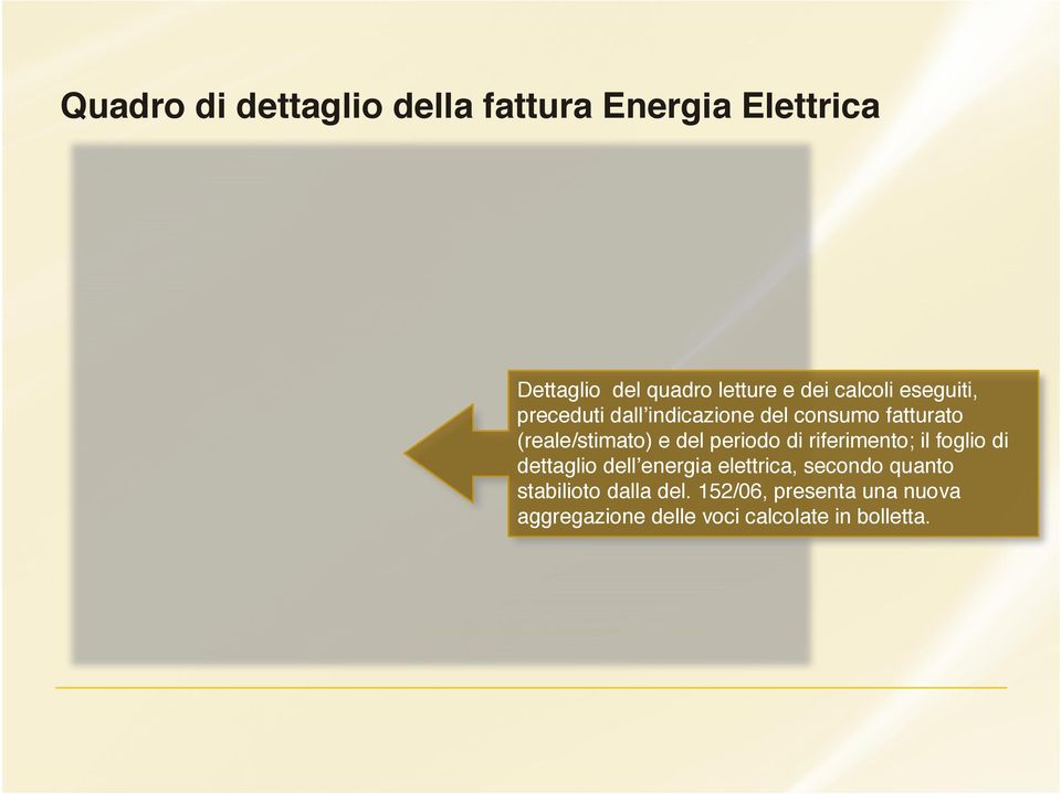 riferimento; il foglio di dettaglio dell energia elettrica, secondo quanto