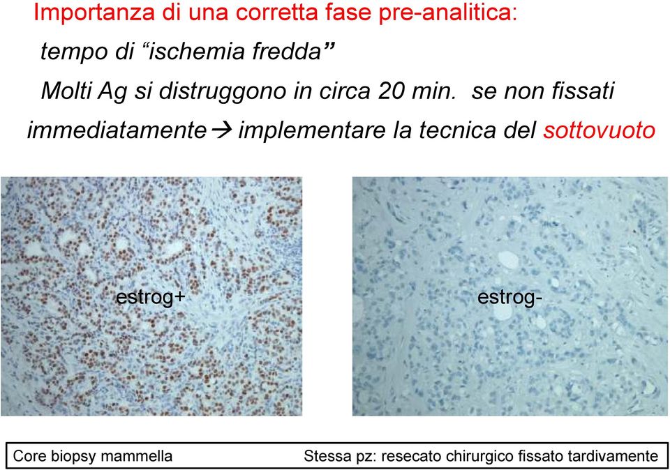 se non fissati immediatamente implementare la tecnica del