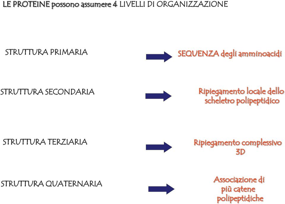 locale dello scheletro polipeptidico STRUTTURA TERZIARIA Ripiegamento