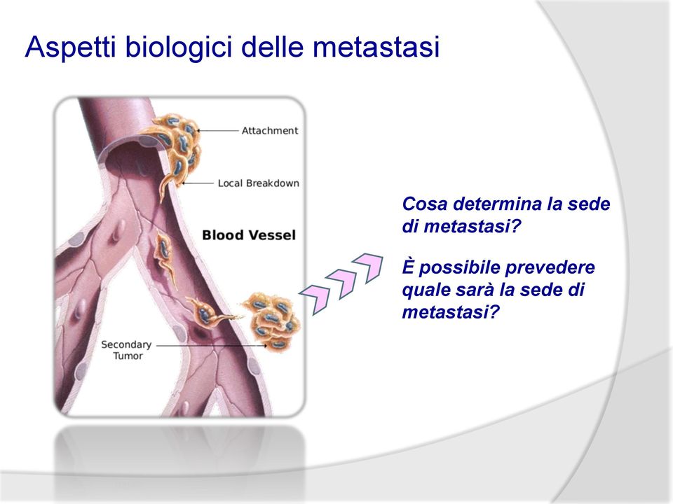 sede di metastasi?