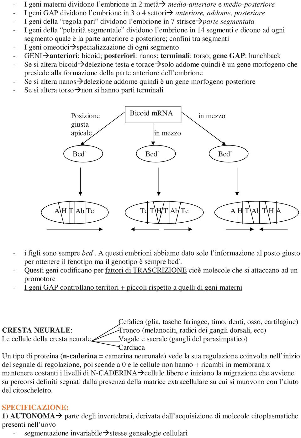 I geni omeotici specializzazione di ogni segmento - GENI anteriori: bicoid; posteriori: nanos; terminali: torso; gene GAP: hunchback - Se si altera bicoid delezione testa e torace solo addome quindi