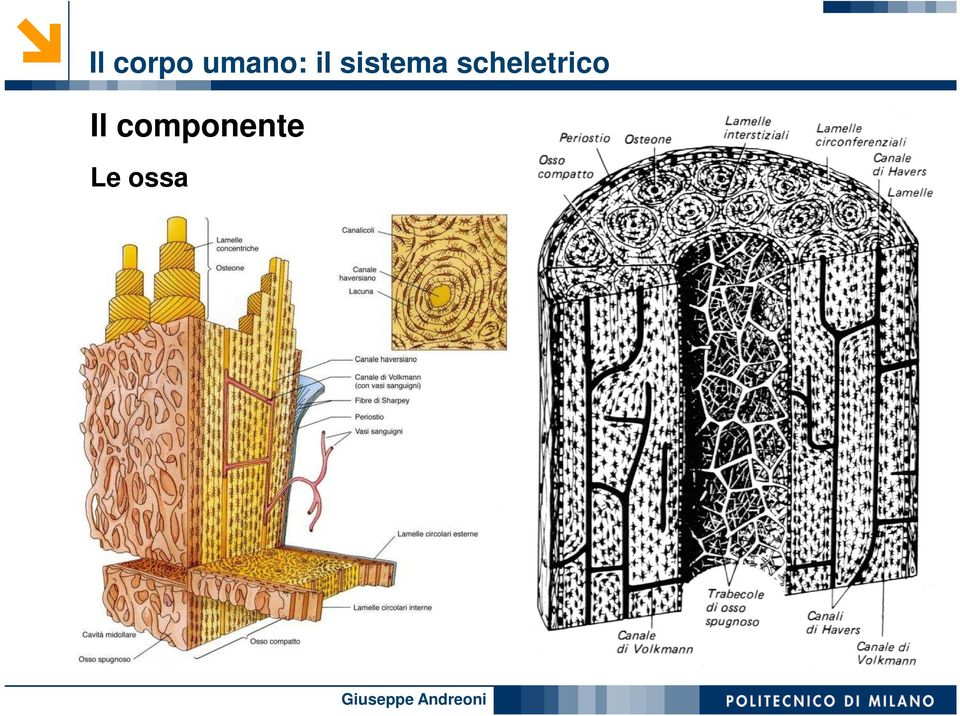 sistema