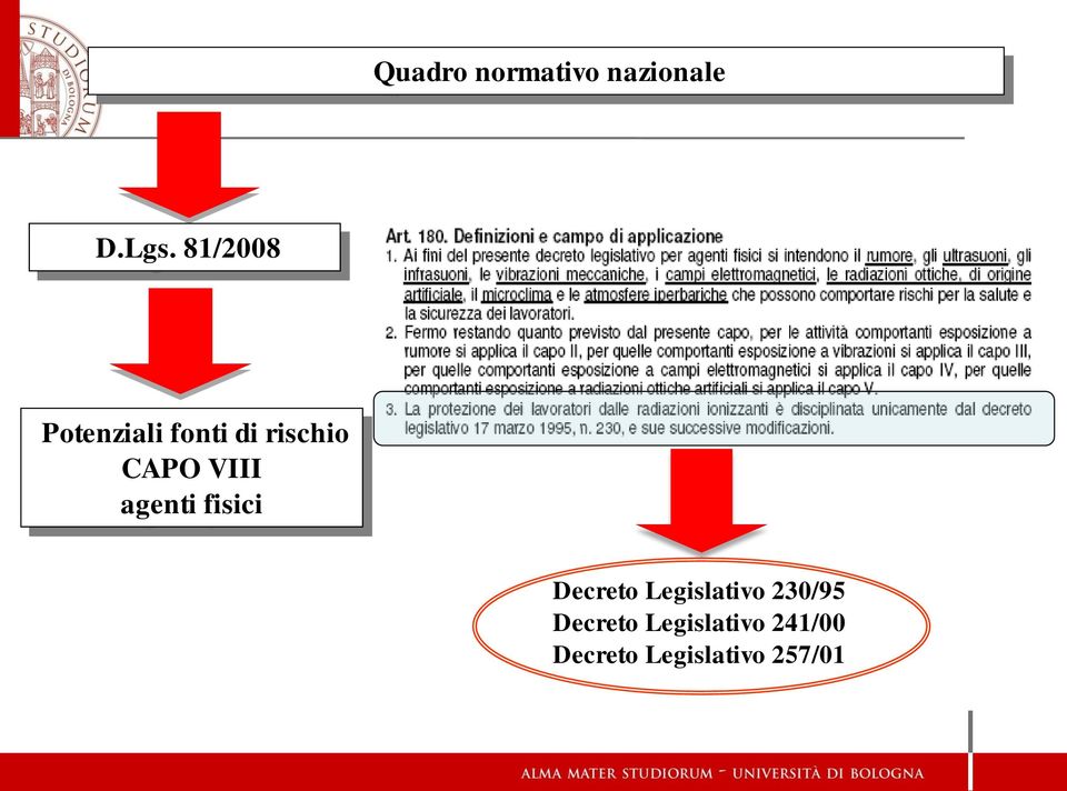 VIII agenti fisici Decreto Legislativo