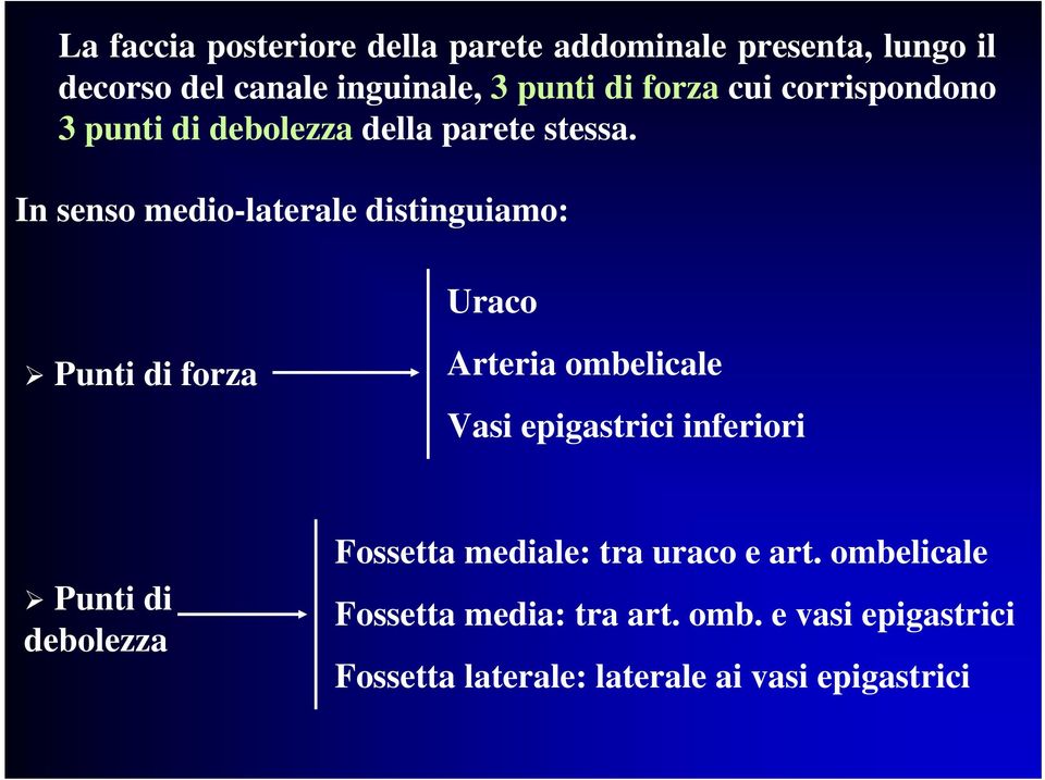 In senso medio-laterale distinguiamo: Uraco Punti di forza Arteria ombelicale Vasi epigastrici inferiori