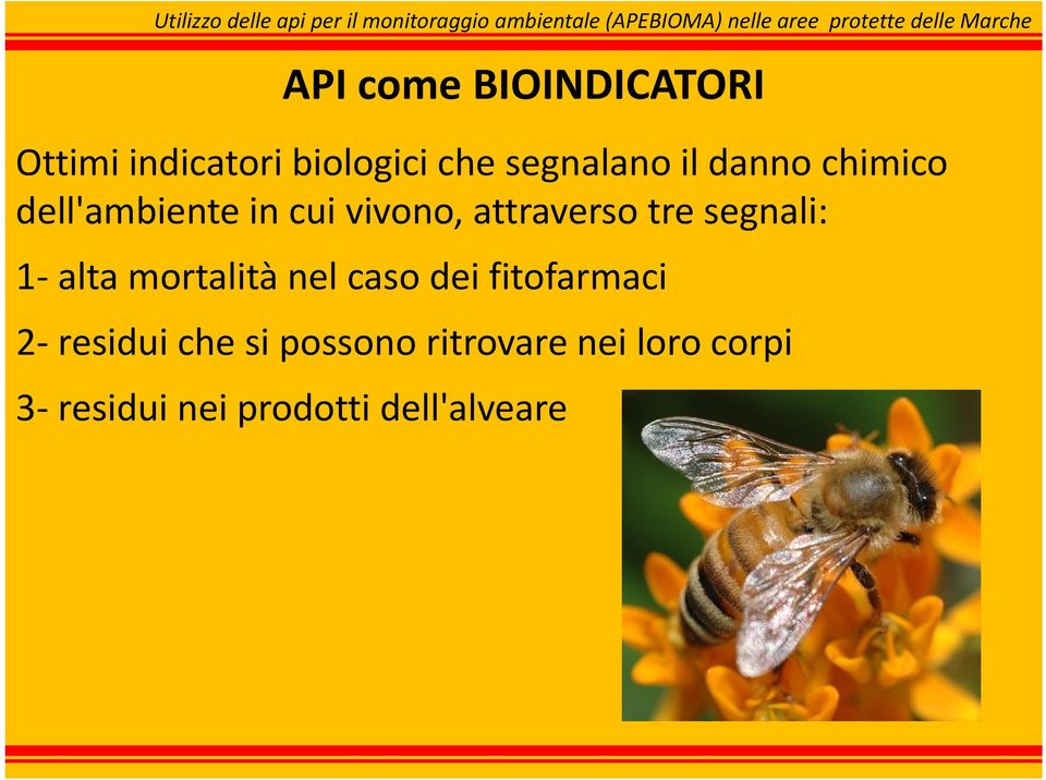 segnali: 1 alta mortalità nel caso dei fitofarmaci 2 residui che