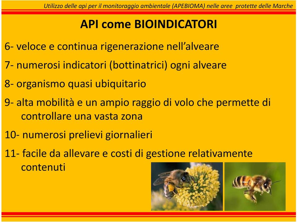 mobilità e un ampio raggio di volo che permette di controllare una vasta zona 10