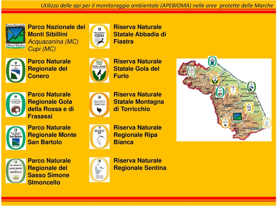 Rossa e di Frasassi Parco Naturale Regionale Monte San Bartolo Riserva Naturale Statale Montagna di Torricchio