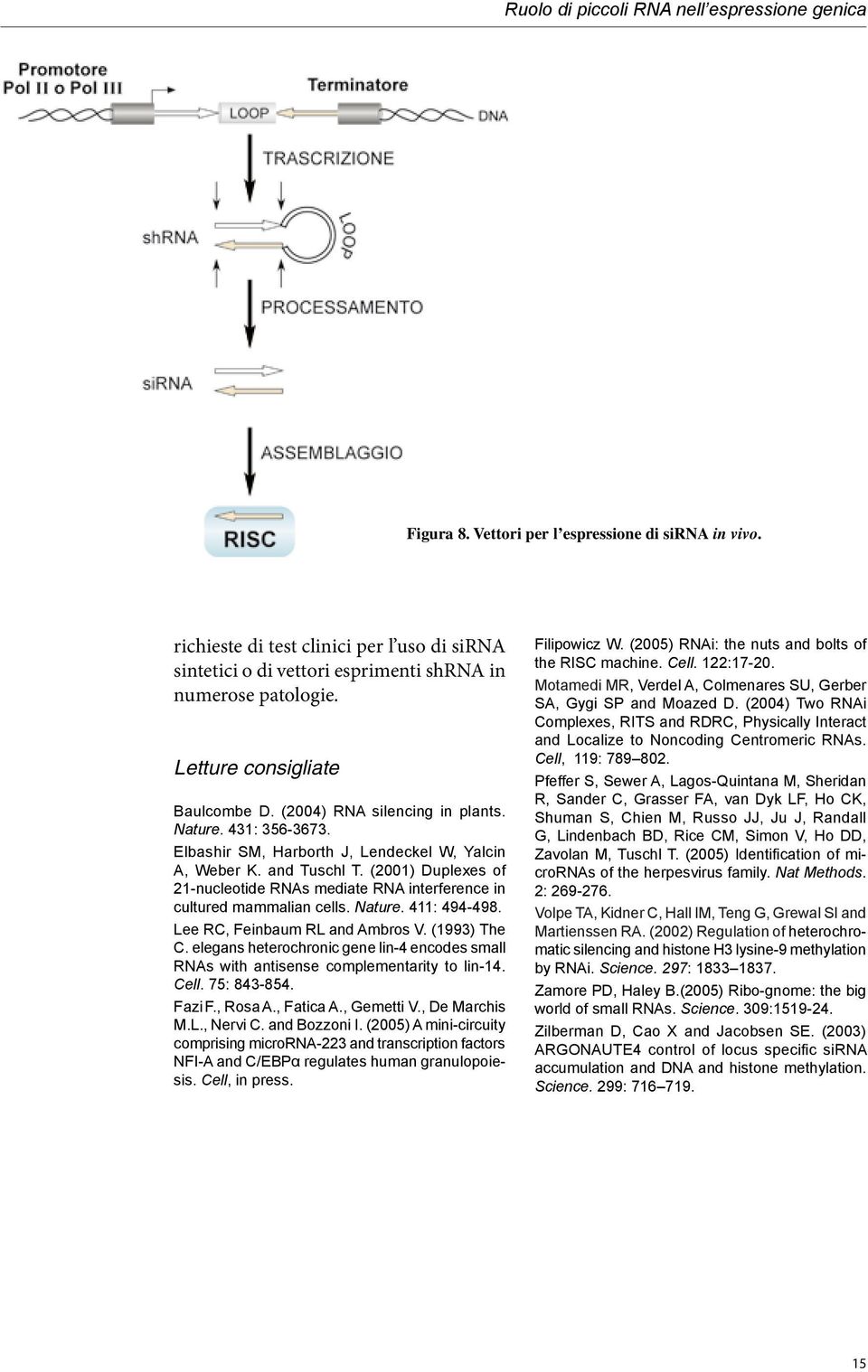 (2001) Duplexes of 21-nucleotide RNAs mediate RNA interference in cultured mammalian cells. Nature. 411: 494-498. Lee RC, Feinbaum RL and Ambros V. (1993) The C.