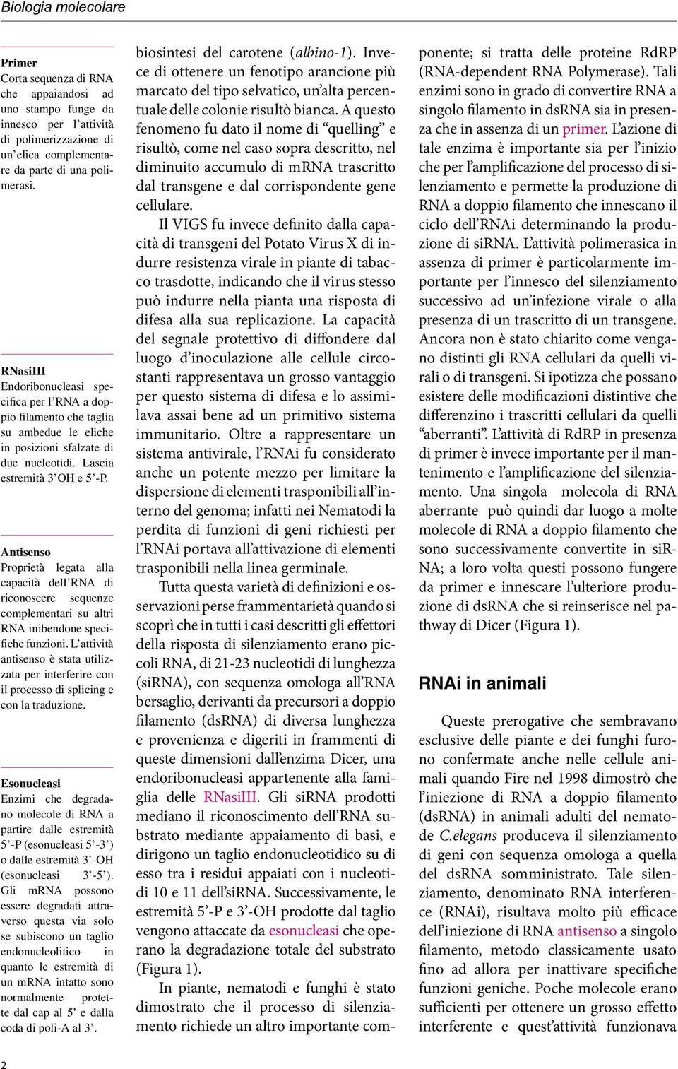 Antisenso Proprietà legata alla capacità dell RNA di riconoscere sequenze complementari su altri RNA inibendone specifiche funzioni.