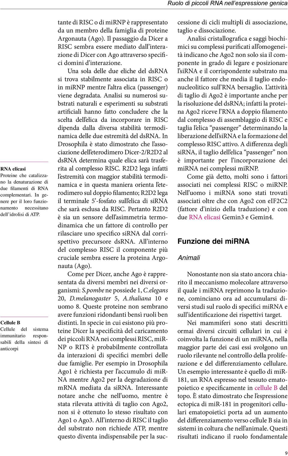 Il passaggio da Dicer a RISC sembra essere mediato dall interazione di Dicer con Ago attraverso specifici domini d interazione.