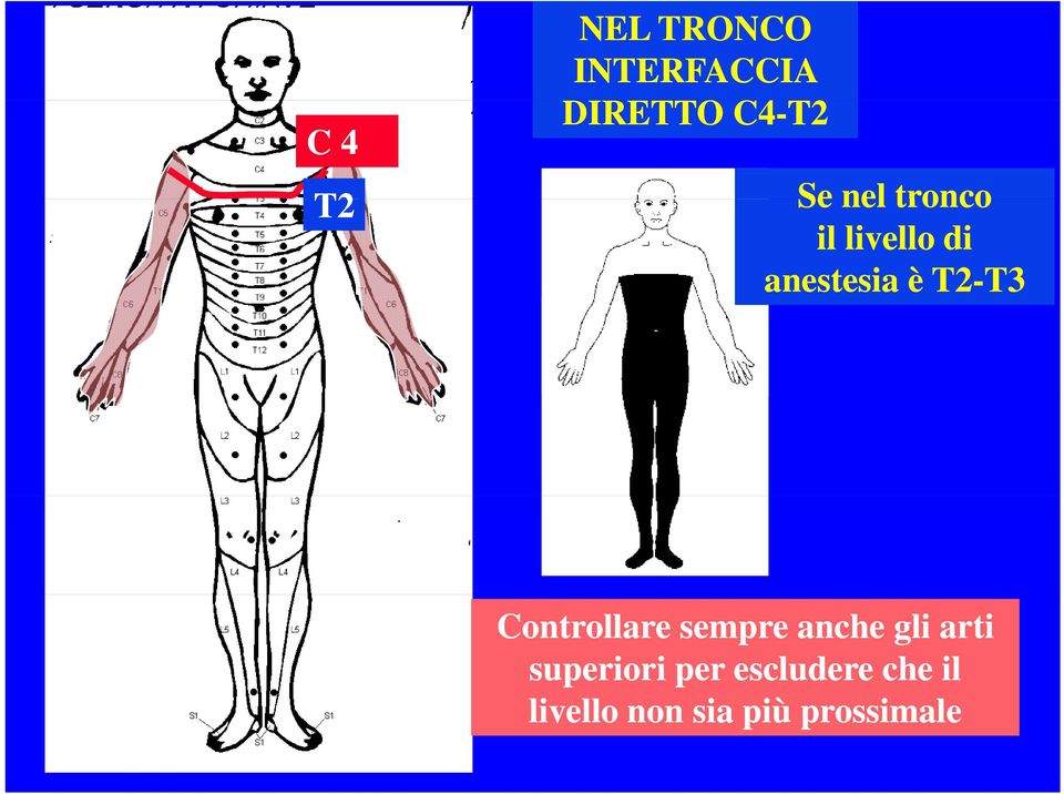 Controllare sempre anche gli arti superiori