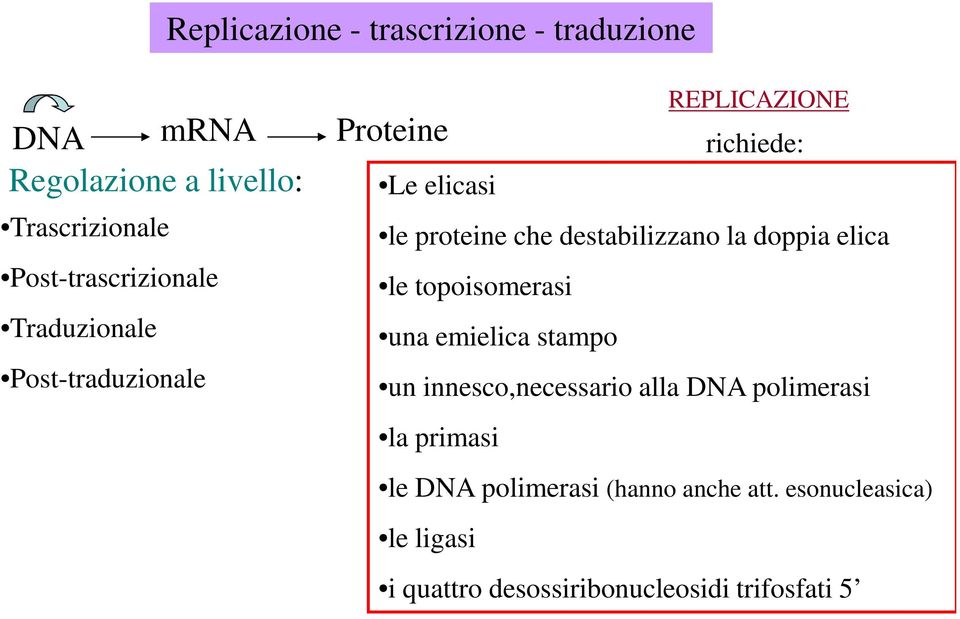 topoisomerasi Traduzionale una emielica stampo Post-traduzionale un innesco,necessario alla DNA