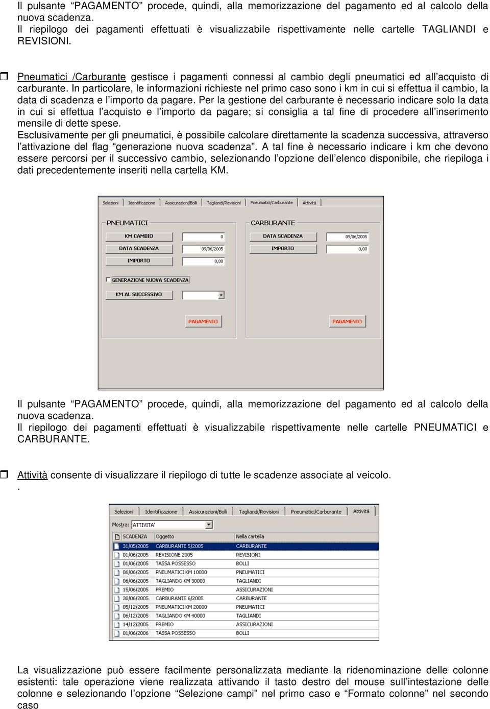 Pneumatici /Carburante gestisce i pagamenti connessi al cambio degli pneumatici ed all acquisto di carburante.