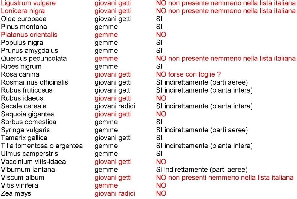 getti NO forse con foglie?