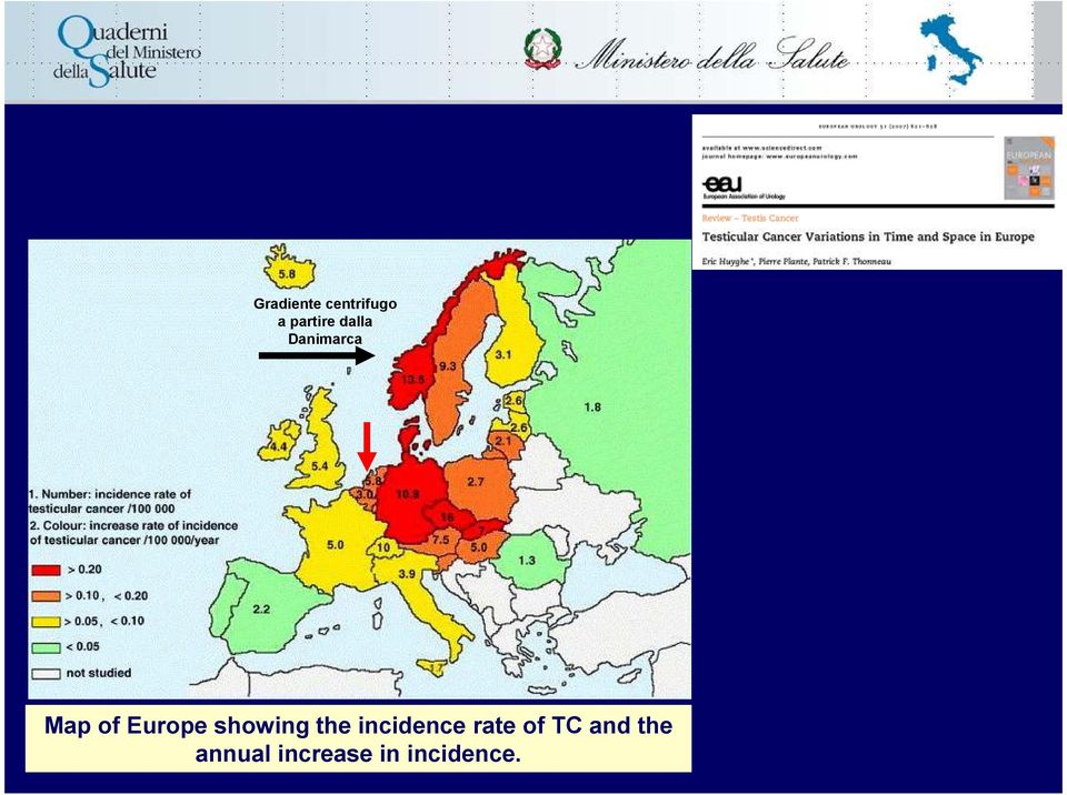 showing the incidence rate of TC