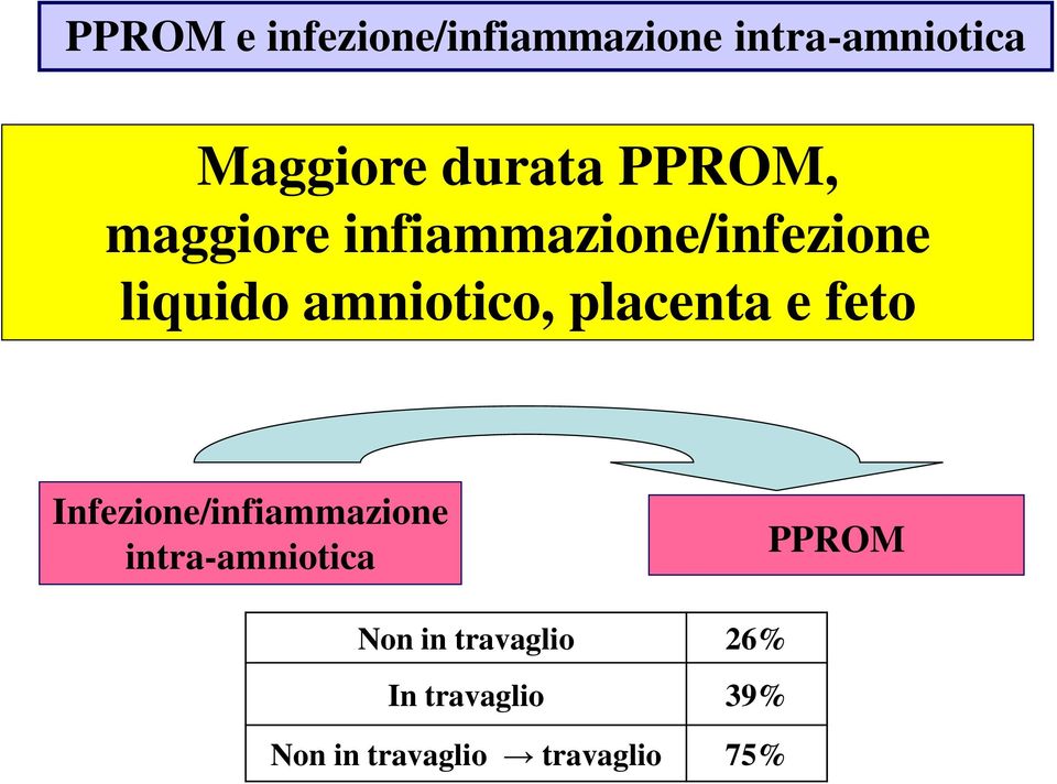 placenta e feto Infezione/infiammazione intra-amniotica PPROM