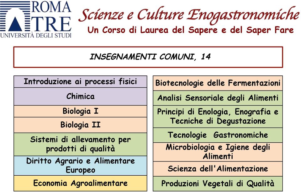 Biotecnologie delle Fermentazioni Analisi Sensoriale degli Alimenti Principi di Enologia, Enografia e Tecniche di