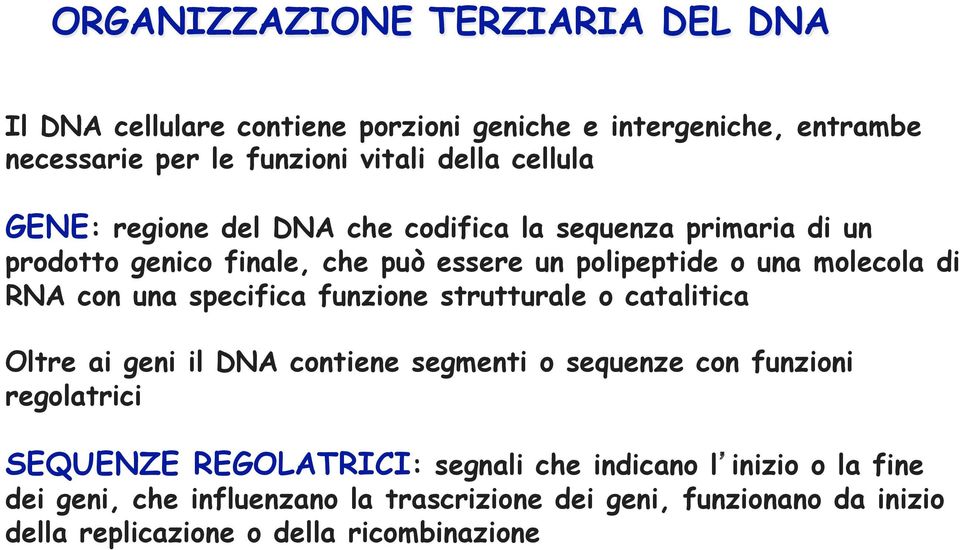 con una specifica funzione strutturale o catalitica Oltre ai geni il DNA contiene segmenti o sequenze con funzioni regolatrici SEQUENZE