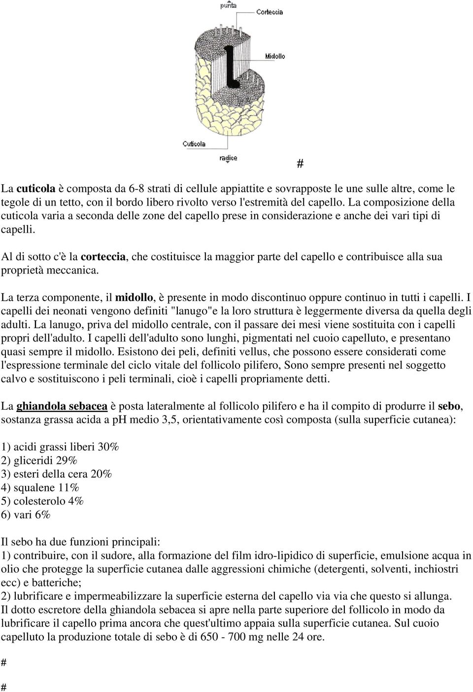 Al di sotto c'è la corteccia, che costituisce la maggior parte del capello e contribuisce alla sua proprietà meccanica.