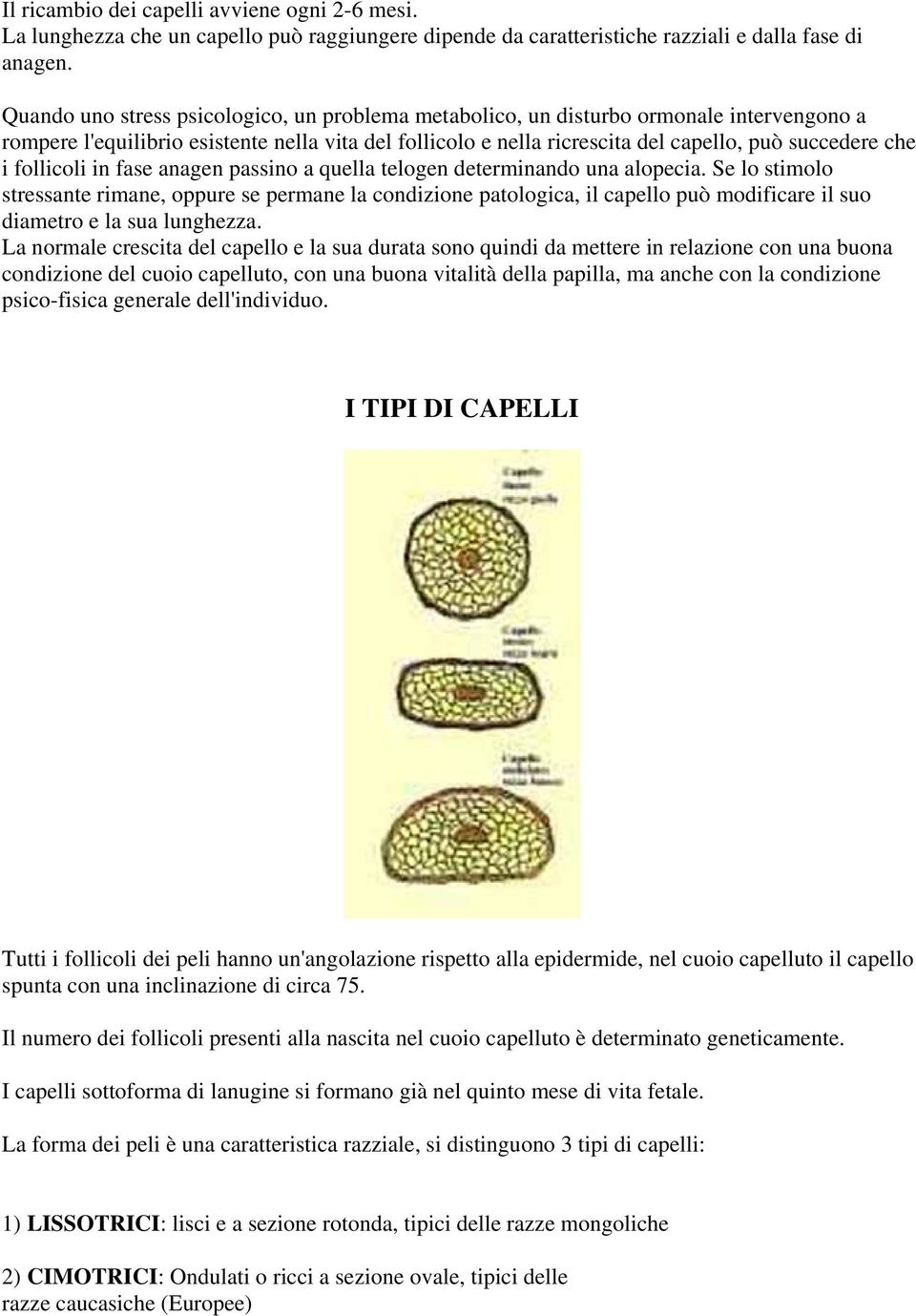 follicoli in fase anagen passino a quella telogen determinando una alopecia.