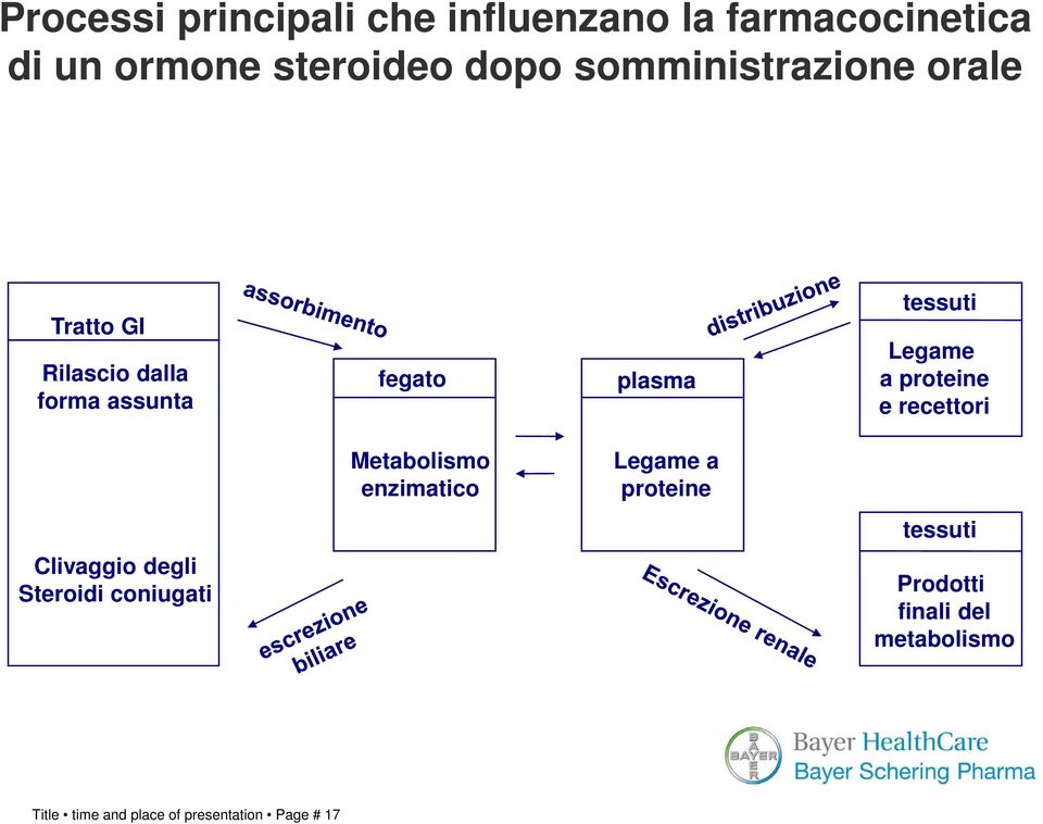 Legame a proteine e recettori Metabolismo enzimatico Legame a proteine tessuti Clivaggio