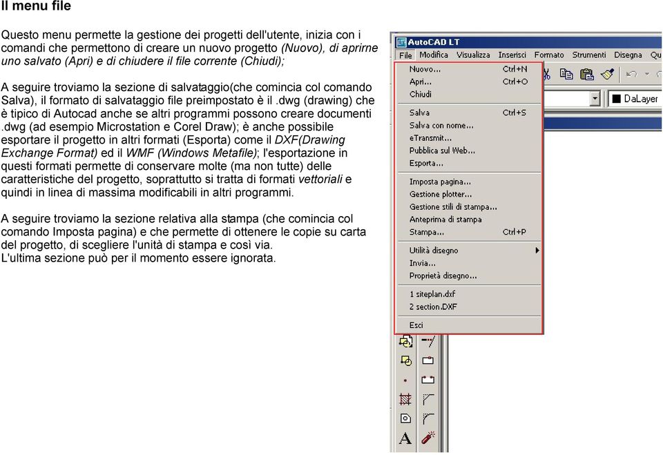 dwg (drawing) che è tipico di Autocad anche se altri programmi possono creare documenti.