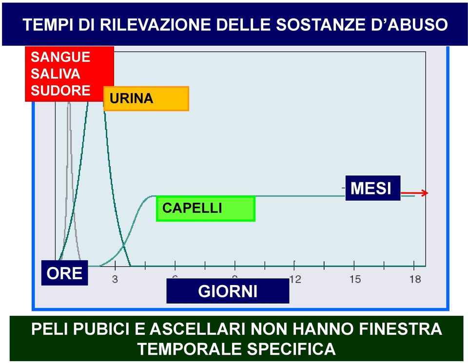 CAPELLI MESI ORE GIORNI PELI PUBICI E