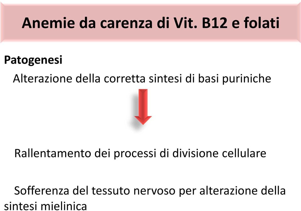 sintesi di basi puriniche Rallentamento dei processi di