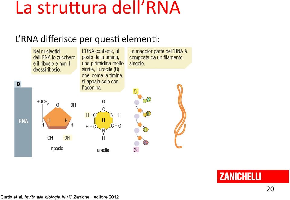 differisce per