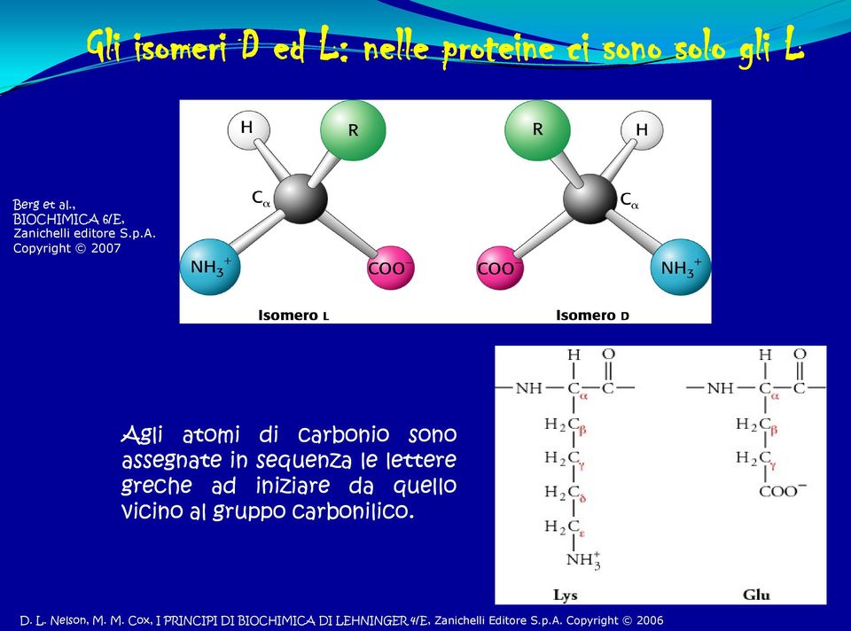 6/E, Zanichelli editore S.p.A.