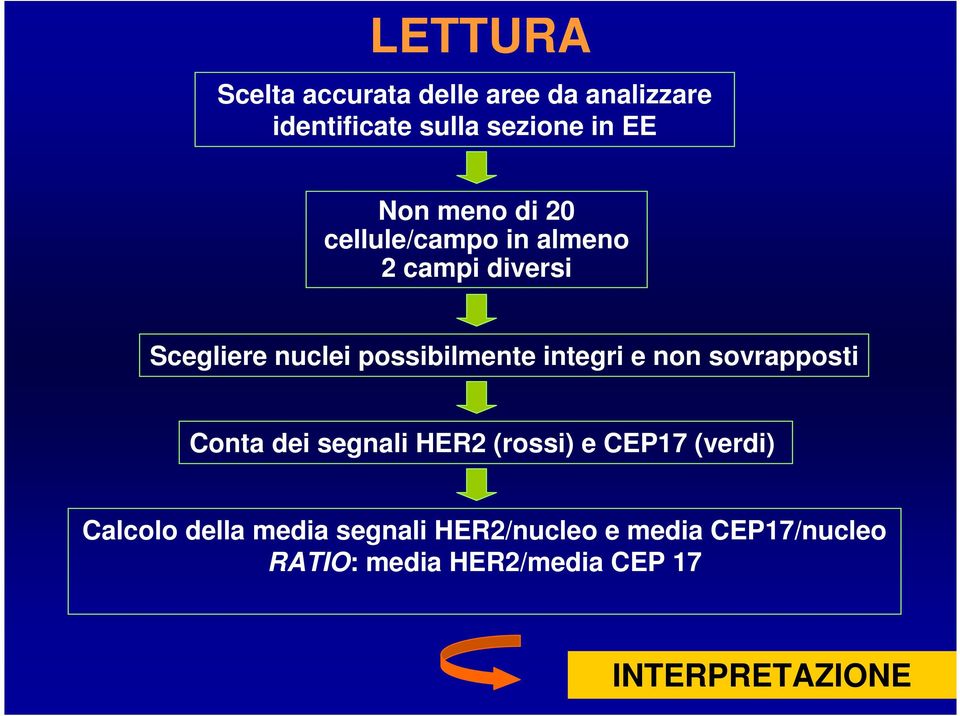 integri e non sovrapposti Conta dei segnali HER2 (rossi) e CEP17 (verdi) Calcolo della