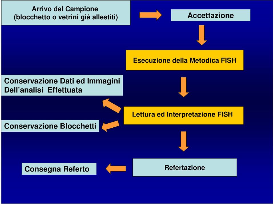 Dati ed Immagini Dell analisi Effettuata Conservazione