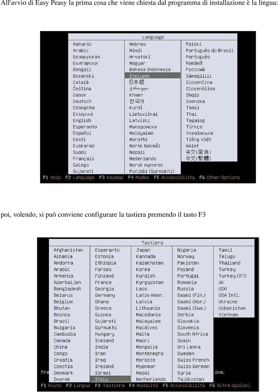 installazione è la lingua: poi, volendo, si