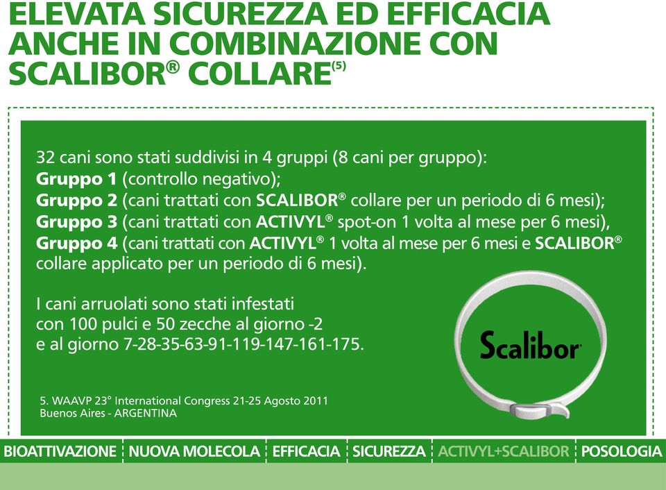 6 mesi), Gruppo 4 (cani trattati con ACTIVYL 1 volta al mese per 6 mesi e SCALIBOR collare applicato per un periodo di 6 mesi).