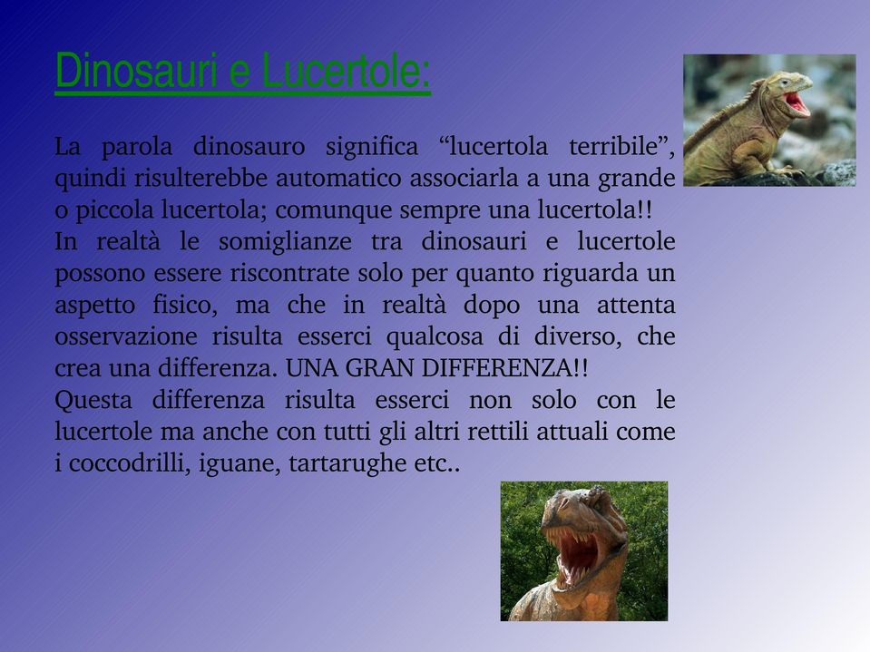 ! In realtà le somiglianze tra dinosauri e lucertole possono essere riscontrate solo per quanto riguarda un aspetto fisico, ma che in realtà dopo