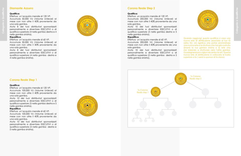 000 VU (Volume Unilevel) al Aiuta 8 dei tuoi distributori sponsorizzati qualifica superiore (4 nella gamba destra e 4 DIAMANTE AZZURRO Reale Step 2 Effettua un acquisto mensile di 120 VP.