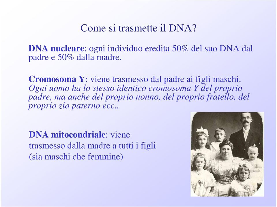 Cromosoma Y: viene trasmesso dal padre ai figli maschi.