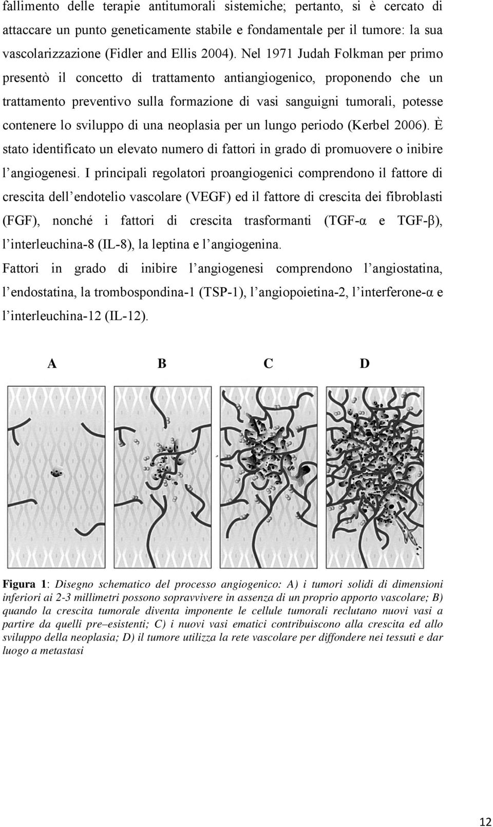 sviluppo di una neoplasia per un lungo periodo (Kerbel 2006). È stato identificato un elevato numero di fattori in grado di promuovere o inibire l angiogenesi.