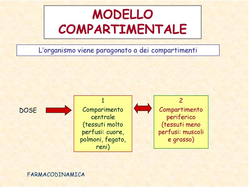 perfusi: cuore, polmoni, fegato, reni) 2 Compartimento