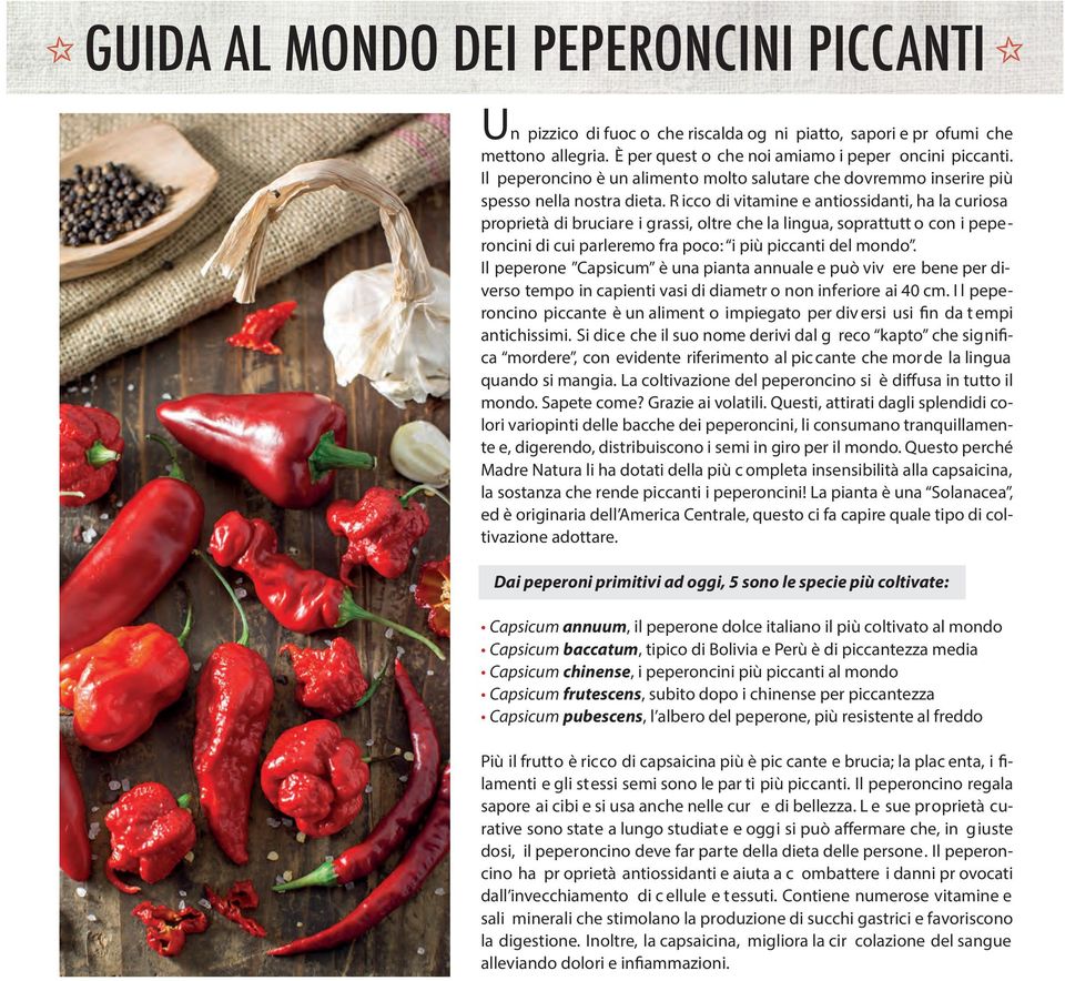 R icco di vitamine e antiossidanti, ha la curiosa proprietà di bruciare i grassi, oltre che la lingua, soprattutt o con i peperoncini di cui parleremo fra poco: i più piccanti del mondo.