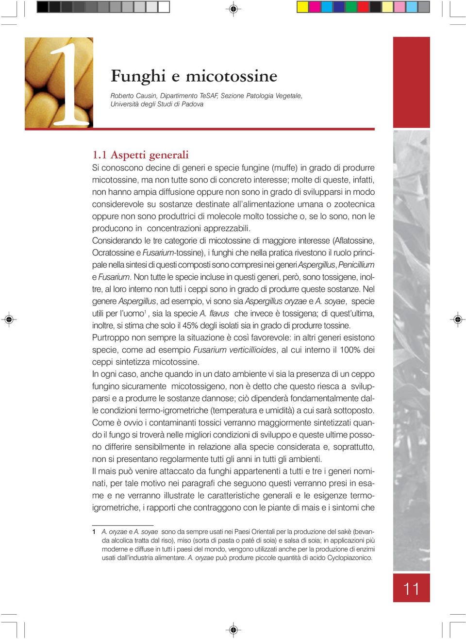 diffusione oppure non sono in grado di svilupparsi in modo considerevole su sostanze destinate all alimentazione umana o zootecnica oppure non sono produttrici di molecole molto tossiche o, se lo