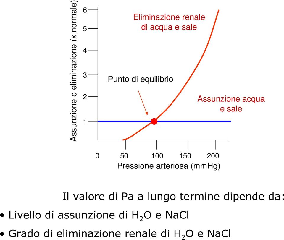 Pressione arteriosa (mmhg) Il valore di Pa a lungo termine dipende da: