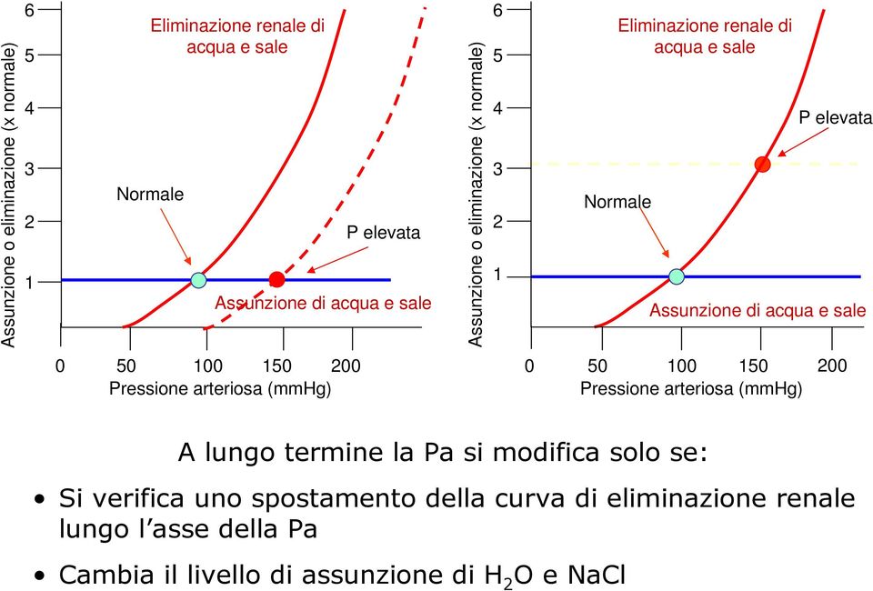 Si verifica uno spostamento della curva di eliminazione renale lungo l asse della Pa Cambia il livello di assunzione di H 2 O e