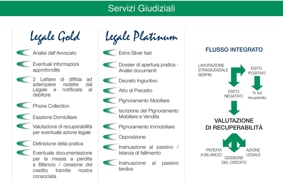 Legale Platinum Extra Silver fast Dossier di apertura pratica - Analisi documenti Decreto Ingiuntivo Atto di Precetto Pignoramento Mobiliare Iscrizione del Pignoramento Mobiliare e Vendita