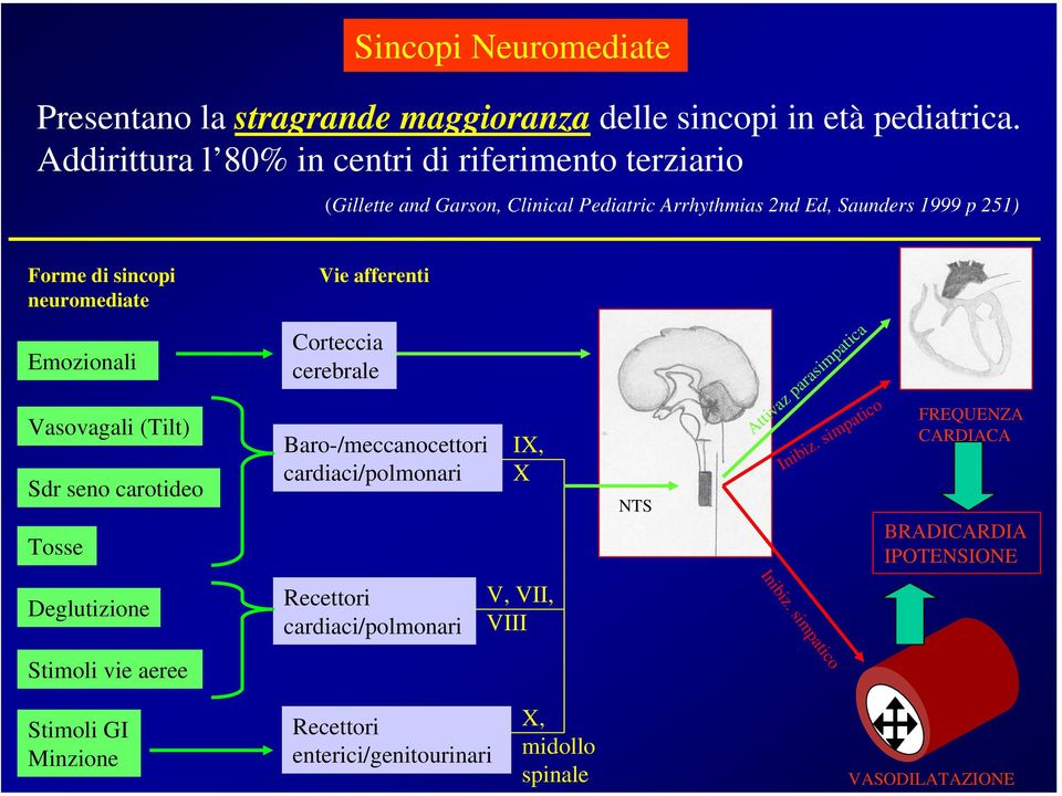 neuromediate Vie afferenti Emozionali Vasovagali (Tilt) Sdr seno carotideo Tosse Corteccia cerebrale Baro-/meccanocettori cardiaci/polmonari IX, X NTS Attivaz